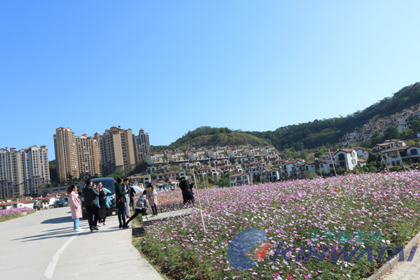 最大网上娱乐平台小伙富力南花海风景游玩图